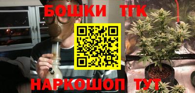 молекула духа Камышлов