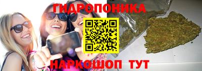 apvp Канаш