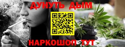 apvp Канаш