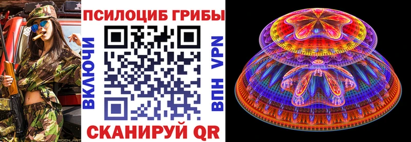 Псилоцибиновые грибы Psilocybe Малгобек
