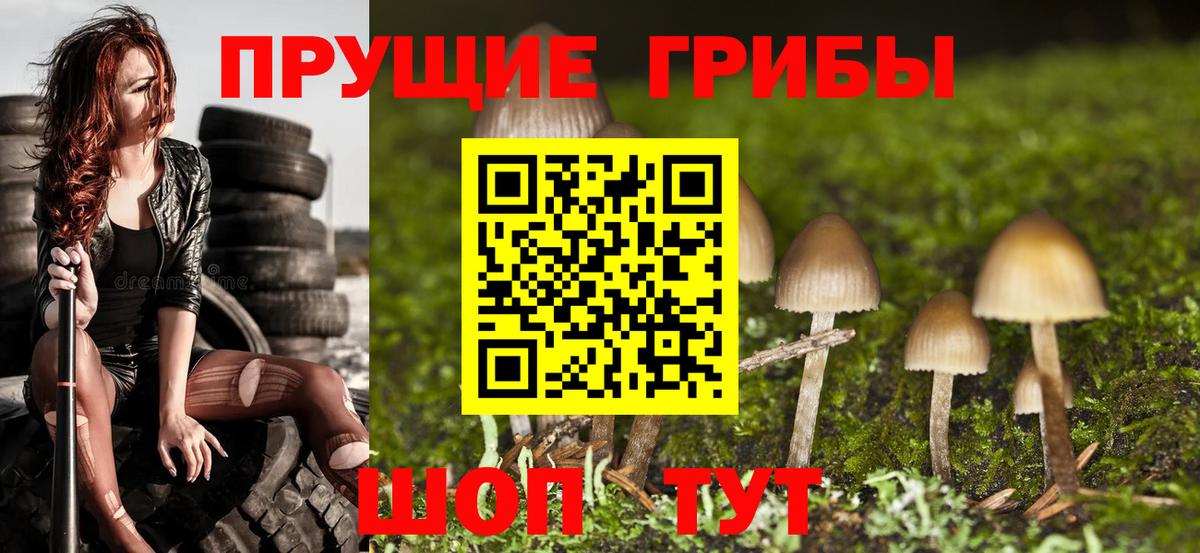 Псилоцибиновые грибы прущие грибы  Вход с VPN  Псилоцибиновые грибы мухоморы  Малгобек 